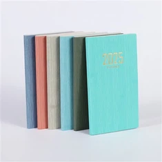 Kichik cho'ntagidagi kundalik